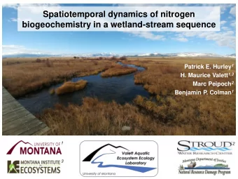 Spatiotemporal dynamics of nitrogen  biogeochemistry in a wetland-stream sequence Patrick E. Hurley