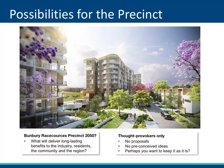 possibilities for the precinct