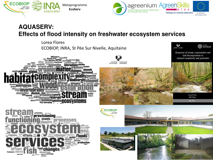 aquaserv effects of flood intensity on freshwater