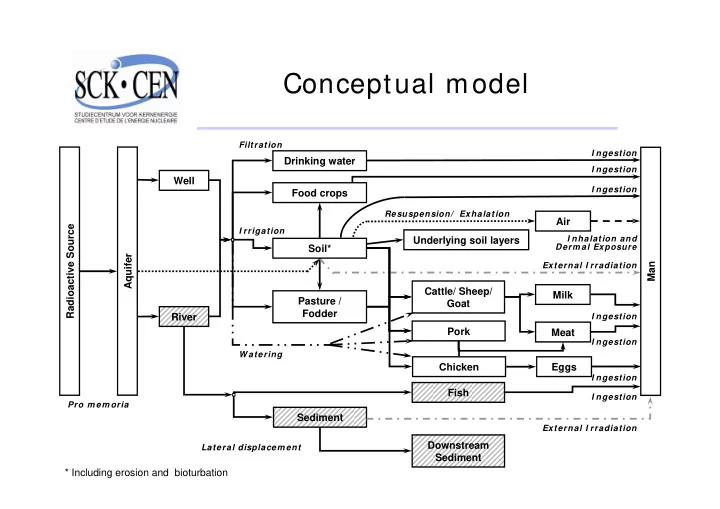 conceptual model