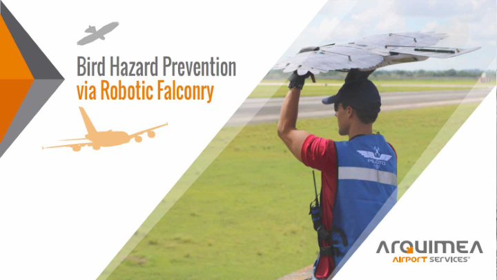 bird hazard prevention via robotic falconry