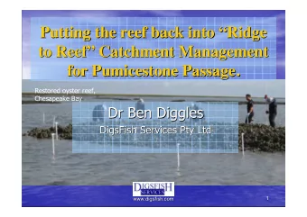 Putting the reef back into   Ridge  Ridge  Putting the reef back into  to Reef