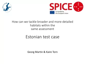 Estonian test case  Georg Martin &amp; Kaire Torn  Testing of the proposed aggregation