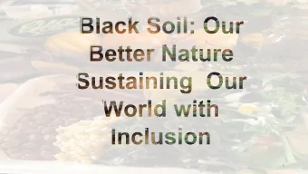 1  Sustainability is intrinsically  diverse  Diversity is embedded in the definition of