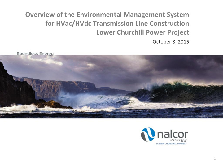 overview of the environmental management system