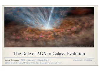 The Role of AGN in Galaxy Evolution  Angela Bongiorno - INAF - Observatory of Rome (Italy)