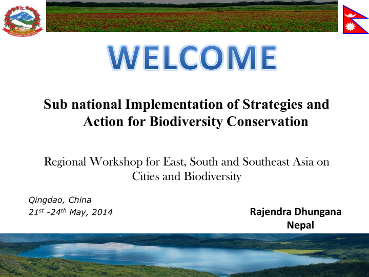 sub national implementation of strategies and action for