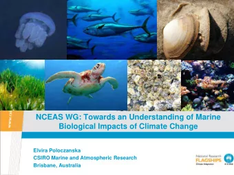 NCEAS WG: Towards an Understanding of Marine  Biological Impacts of Climate Change  Elvira
