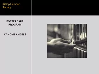 Kitsap Humane  Society FOSTER CARE  PROGRAM AT HOME ANGELS  KHS FOSTER PROCESS  UPDATES