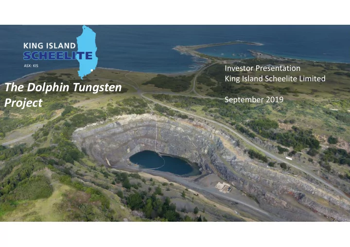 the dolphin tungsten