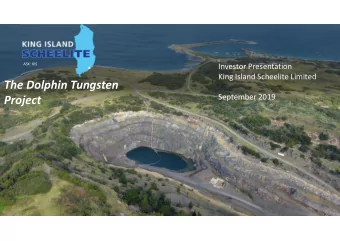The Dolphin Tungsten September 2019  Project Tungsten: A Strategic Industrial Metal  2  Tungsten