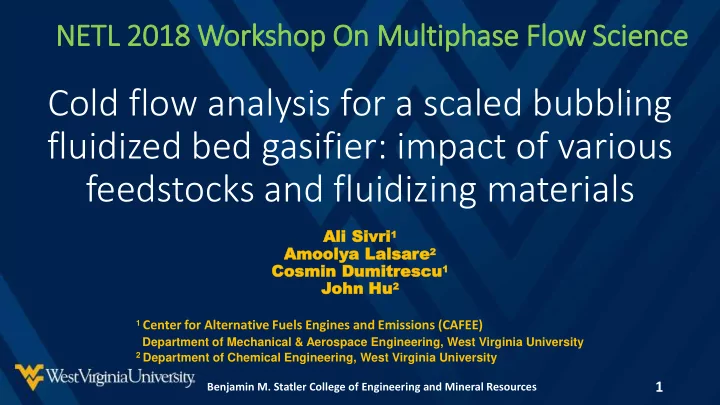 cold flow analysis for a scaled bubbling