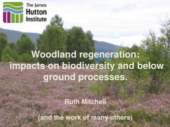 Woodland regeneration:  impacts on biodiversity and below  ground processes.  Ruth Mitchell  (and