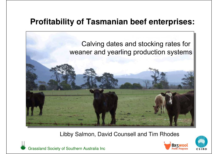 profitability of tasmanian beef enterprises