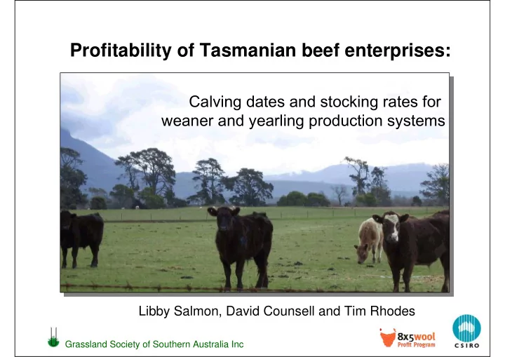 profitability of tasmanian beef enterprises