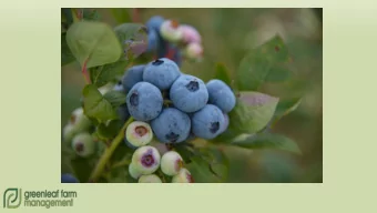 Organic Blueberry Production Marketing; have a plan Varieties; season &amp; purpose Planting;