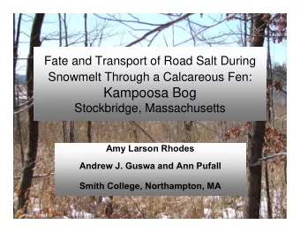 Kampoosa Bog  Stockbridge, Massachusetts  Amy Larson Rhodes  Andrew J. Guswa and Ann Pufall  Smith