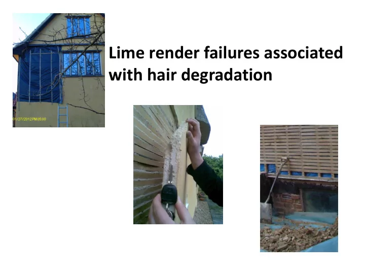 with hair degradation new lime plaster with pig bristle