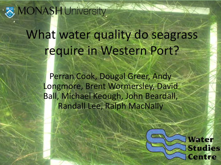 what water quality do seagrass require in western port