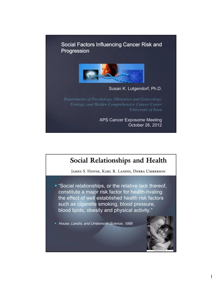 social relationships and mortality