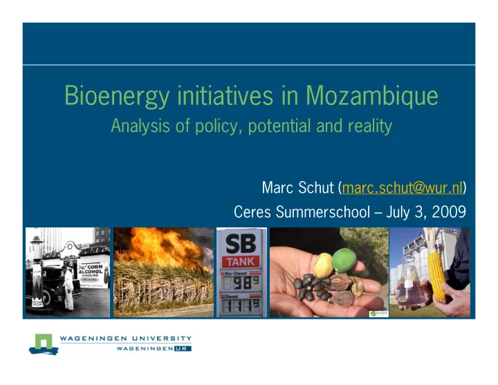 bioenergy initiatives in mozambique