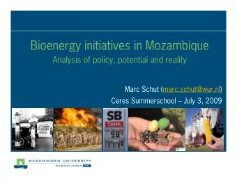 Bioenergy initiatives in Mozambique  Analysis of policy, potential and reality  Marc Schut