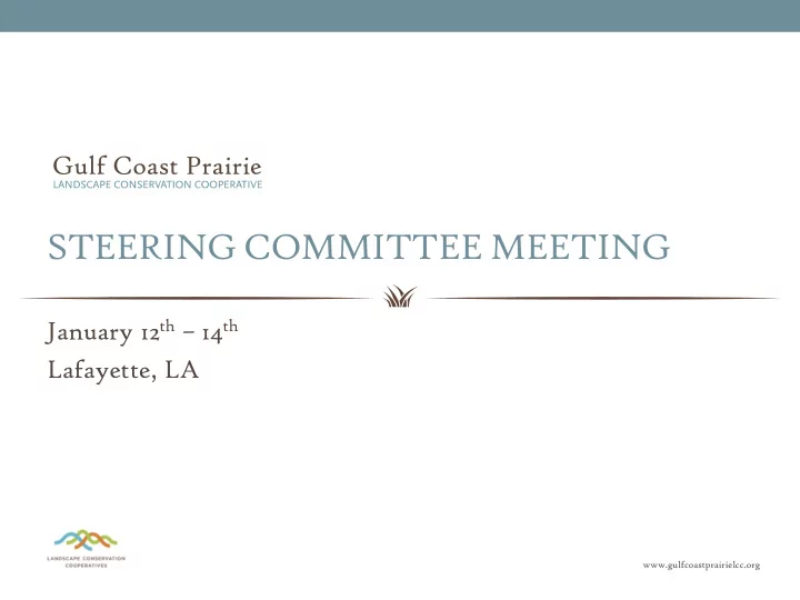 steering committee meeting
