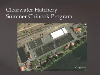 Clearwater Hatchery  Summer Chinook Program  Original concept of increasing rearing of  Chinook