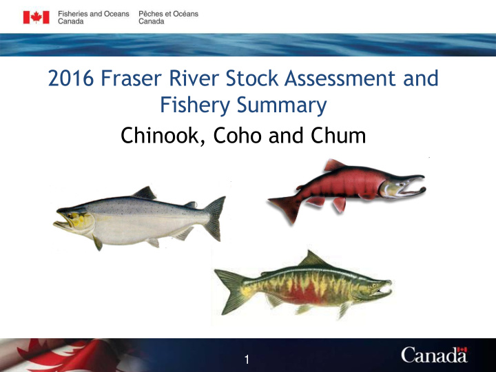 2016 fraser river stock assessment and