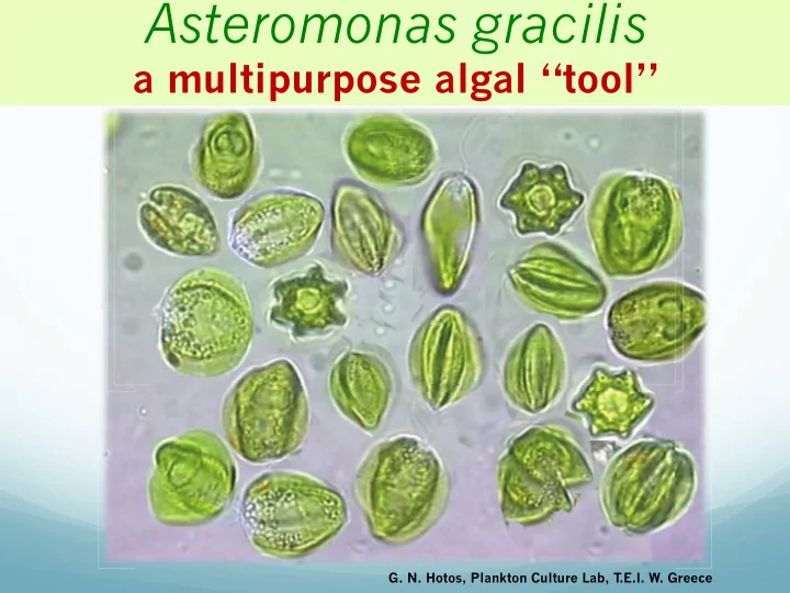 who is who of asteromonas gracilis