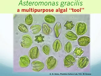 Who is who of  Asteromonas gracilis  An extremely halotolerant green wall-less microalga