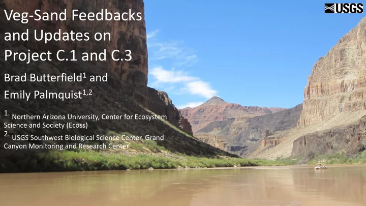 veg sand feedbacks and updates on project c 1 and c 3