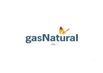 1  DSOs growth model: the cornerstone  figure for the expansion of natural gas  Gas Promotion