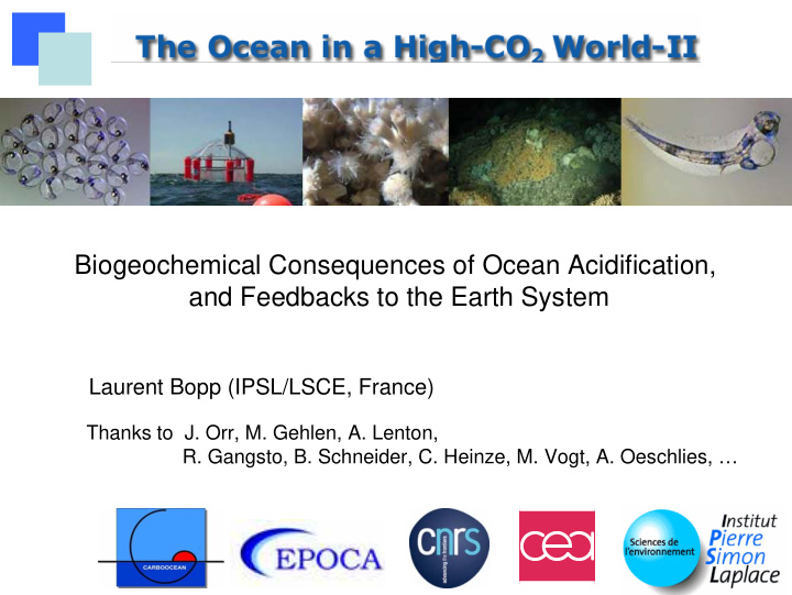biogeochemical consequences of ocean acidification and