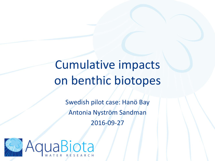 cumulative impacts on benthic biotopes