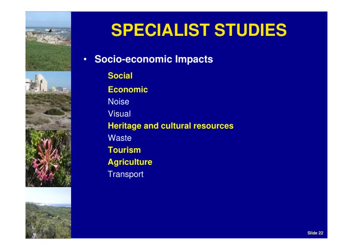 specialist studies