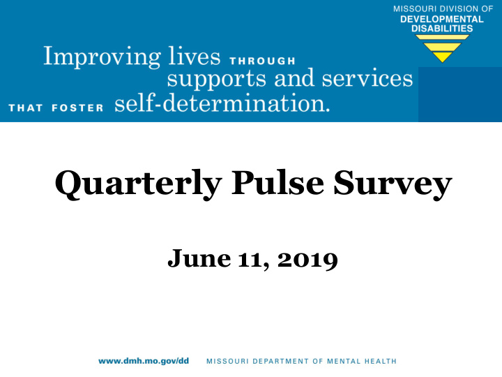 quarterly pulse survey