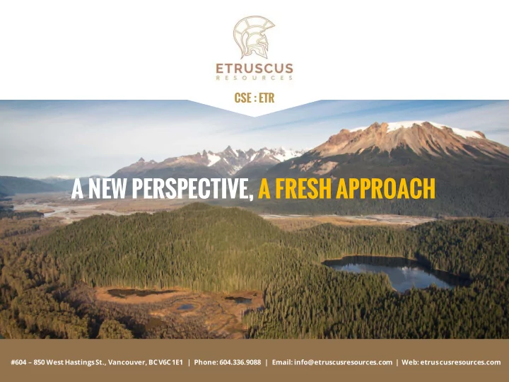 a new perspective a fresh approach