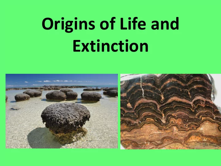extinction what is evolution what is evolution