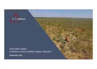 WALFORD CREEK:  A WORLD CLASS COPPER-COBALT PROJECT  FEBRUARY 2018  IMPORTANT INFORMATION  This