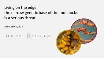 is a serious threat  Daniel Pap GBG2018  VIT  ITIS  IS ROOTSTOCK -  Narrow genetic  base?  Gloire