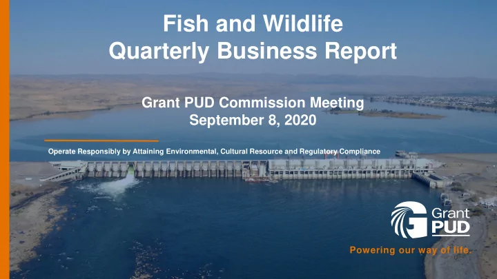 quarterly business report