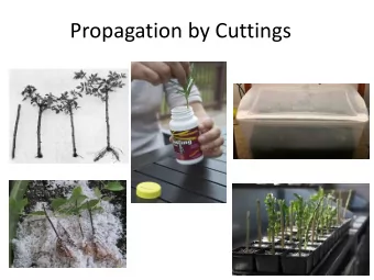 Propagation by Cuttings  Propagation by Cuttings    Rooting success is almost entirely dependent