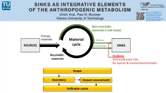SINKS AS INTEGRATIVE ELEMENTS  SINKS AS INTEGRATIVE ELEMENTS  Austrian Science Fund (FWF):  OF THE