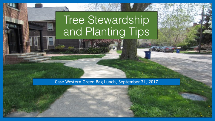 tree stewardship and planting tips