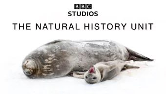 THE NATURAL HISTORY UNIT  Previous landmarks:  500,000,000 people  1. A new story with a less