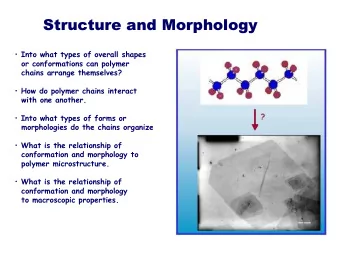 Structure and Morphology  Structure and Morphology  Into what types of overall shapes  or