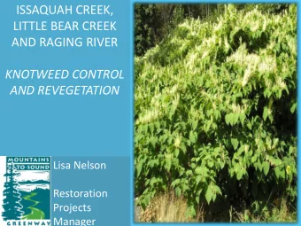 LITTLE BEAR CREEK  AND RAGING RIVER  KNOTWEED CONTROL  AND REVEGETATION  Lisa Nelson  Restoration