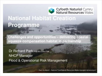 Programme Challenges and opportunities  delivering coastal  squeeze compensation habitat in