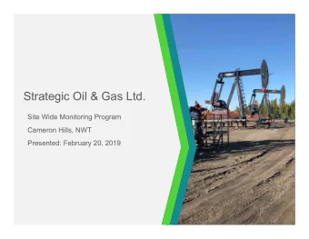 Strategic Oil &amp; Gas Ltd.  Site Wide Monitoring Program  Cameron Hills, NWT  Presented: February